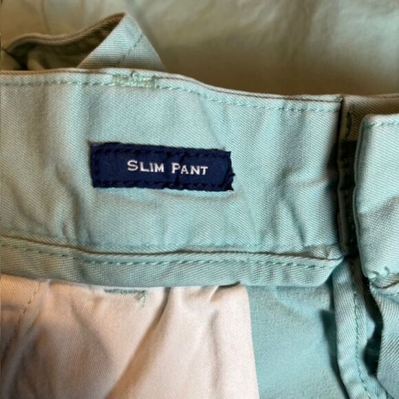 Vineyard Vines Men's Slim Bermuda Short Mint Preppy Size 30 - Picture 6 of 7